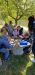 Messenger_creation_957331D4-5B0C-45F3-9091-D97D0489B701